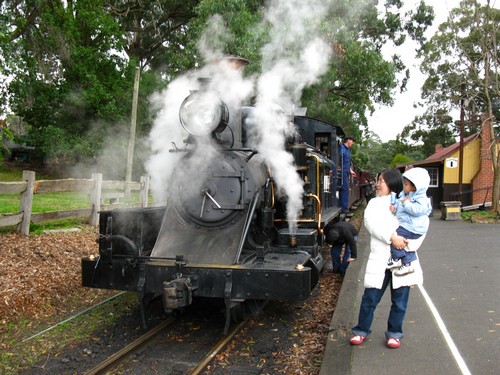 Puffing.Billy.Train.Ride